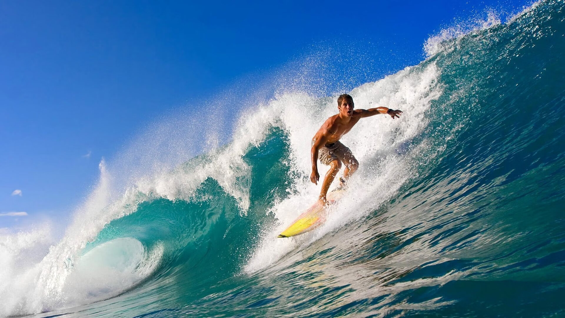 德甲速度逐浪：快速反击展现极致！，德甲冲刺速度最快球员